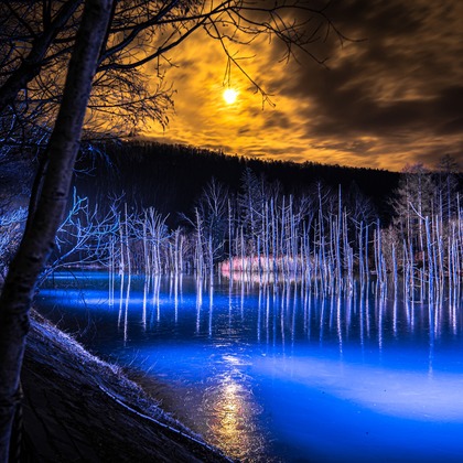 高木勇斗が撮影した「:albumName」の写真