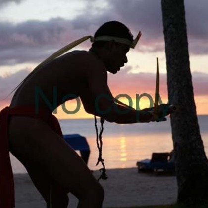 有限会社フリーディメンション　田中勝巳が撮影した「:albumName」の写真