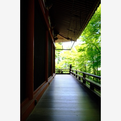 POPCORNが撮影した「:albumName」の写真