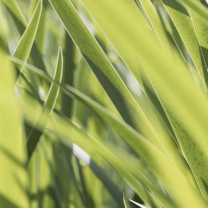 ポートレート沖縄が撮影した人物撮影の写真