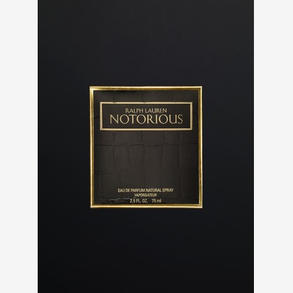 高橋　良が撮影した「:albumName」の写真