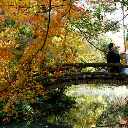 Photo of :albumName taken by Smilehunter