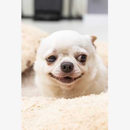 Makoto Nakamuraが撮影したウェディングや家族、ビジネスの写真