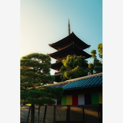 S＆Iが撮影した「:albumName」の写真