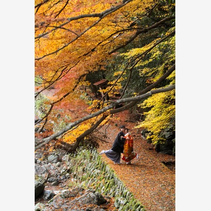 Photo of :albumName taken by Smilehunter