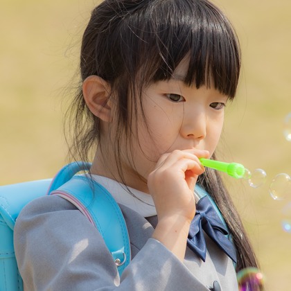 上ノ園　芳樹が撮影した「:albumName」の写真