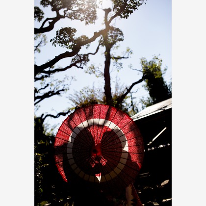 E-Weddingが撮影した「:albumName」の写真