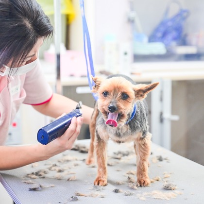 出張撮影 中村まみこが撮影した店舗/オフィス/サロン撮影の写真