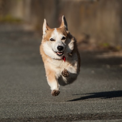 AKIphotoが撮影した店舗/オフィス/サロン撮影/人物撮影の写真