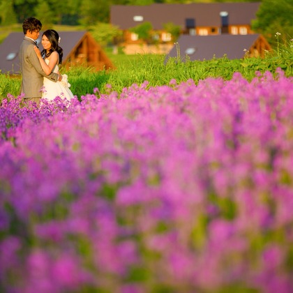 studio HATOYAが撮影した「:albumName」の写真