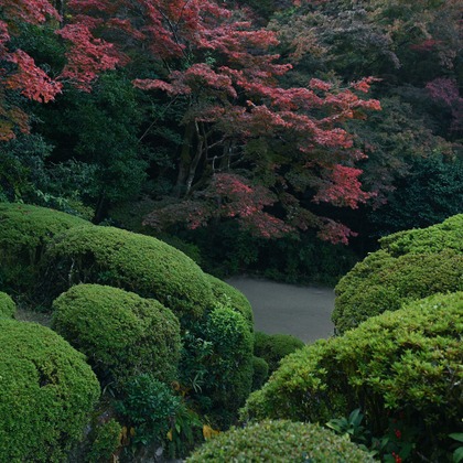 菅悠生が撮影した「:albumName」の写真