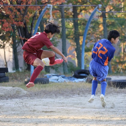 えむあんりみてっどが撮影した「:albumName」の写真