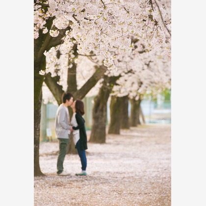 キタノフォトオフィス (北野尚史)が撮影した「:albumName」の写真