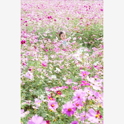 lino-'akaが撮影した「:albumName」の写真