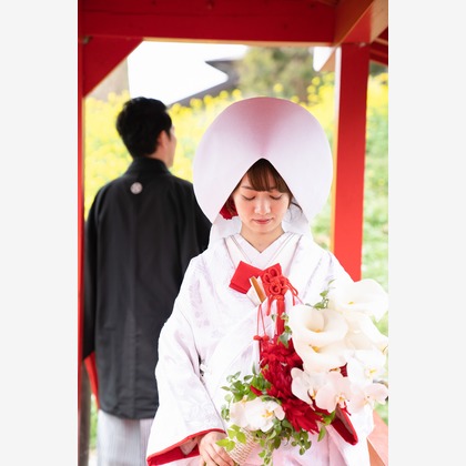 ハネムーンアベニューが撮影したその他の写真