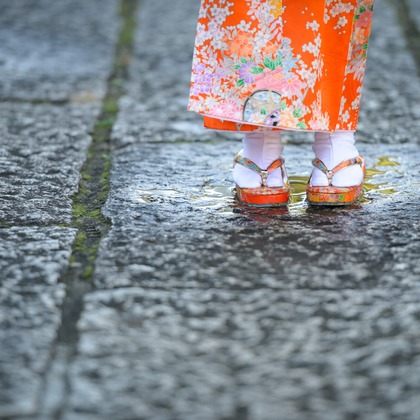 アラタンホヤガが撮影した「:albumName」の写真