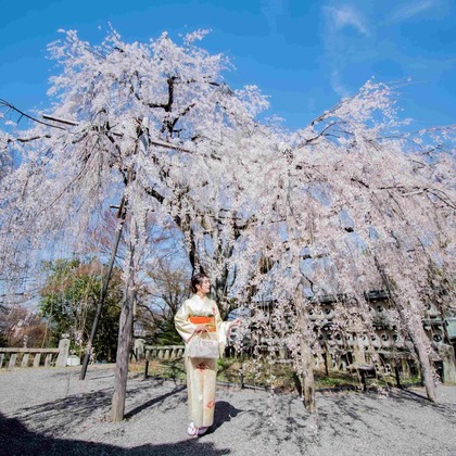 来田 篤典が撮影した人物撮影の写真
