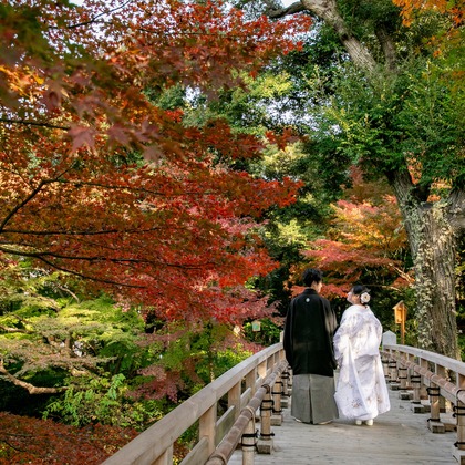 Location Photo Shoot/Wedding Day Photography Photos taken by mina photograph