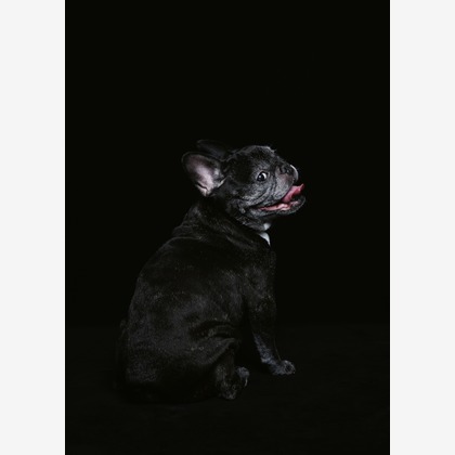 トクシ丸が撮影した人物撮影の写真