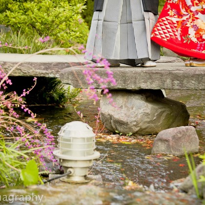 シキラマ グラフィーが撮影したウェディングや家族、ビジネスの写真
