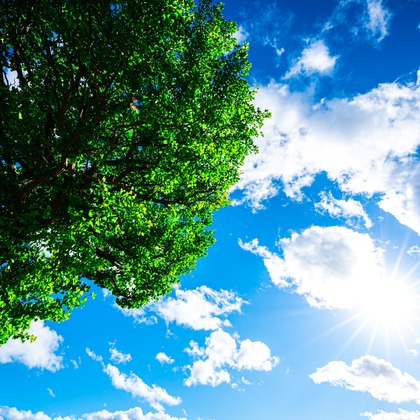 高木勇斗が撮影したその他の写真