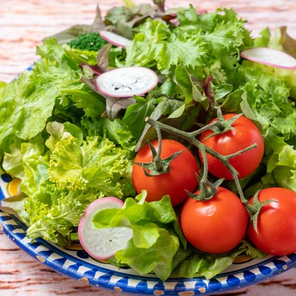 かわもとえつこが撮影した「:albumName」の写真