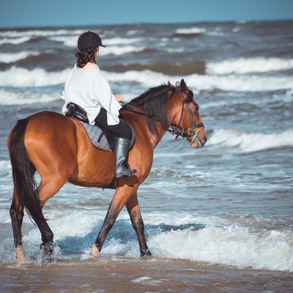 Jacek Cichopekが撮影した「:albumName」の写真