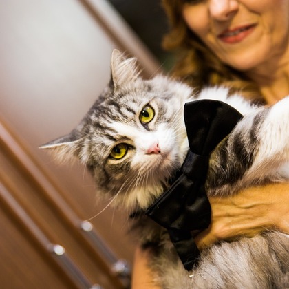 Alberto Orrú が撮影した「:albumName」の写真