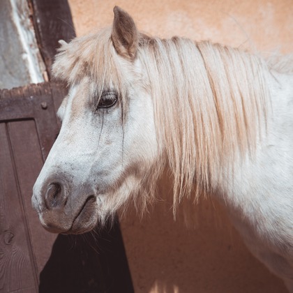 Jacek Cichopekが撮影した「:albumName」の写真