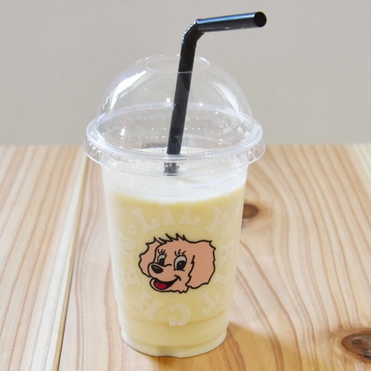 樋上　将太が撮影した「:albumName」の写真