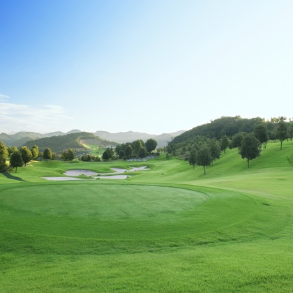 エイティーイメージズが撮影したその他の写真