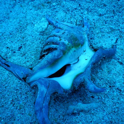 杉野優介が撮影した「:albumName」の写真