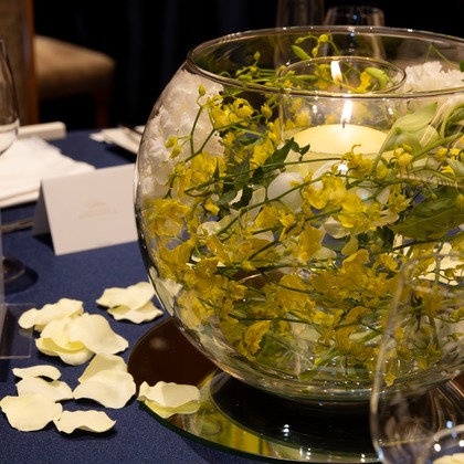 杉安写真事務所が撮影した「:albumName」の写真