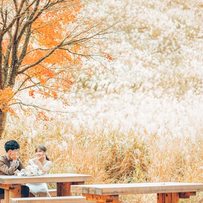 宮川　斉記が撮影した「:albumName」の写真