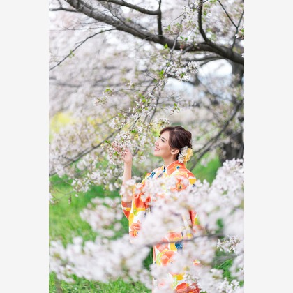 櫻井一平が出張撮影した自然の中の人々, 日本の建築, 中国建築などが写った「ファミリーフォト」の家族写真