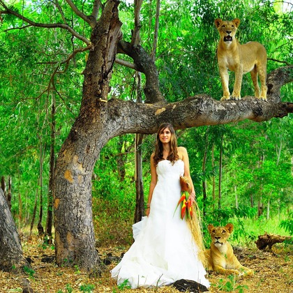 今林 浩一が撮影した「:albumName」の写真