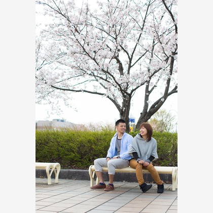 studio HATOYAが撮影した「:albumName」の写真