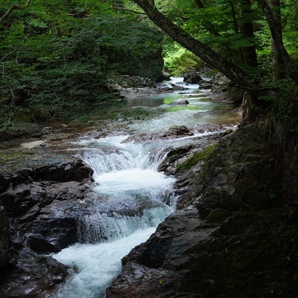 細部　歩が撮影したウェディングや家族、ビジネスの写真