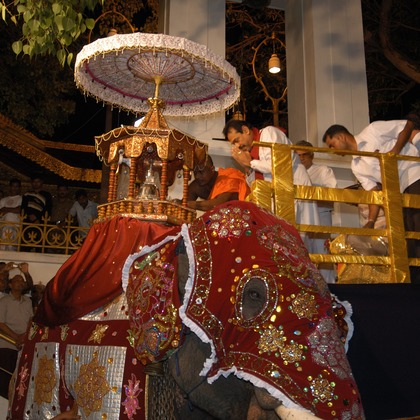 梶田　誠が撮影した「:albumName」の写真