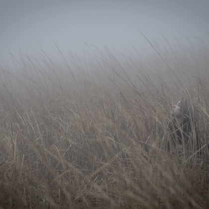 ならもとかずやが撮影した「:albumName」の写真