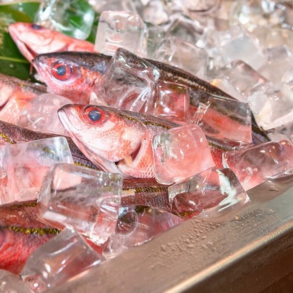 エンリッチ フォトグラフィーが撮影した商品/物撮りの写真