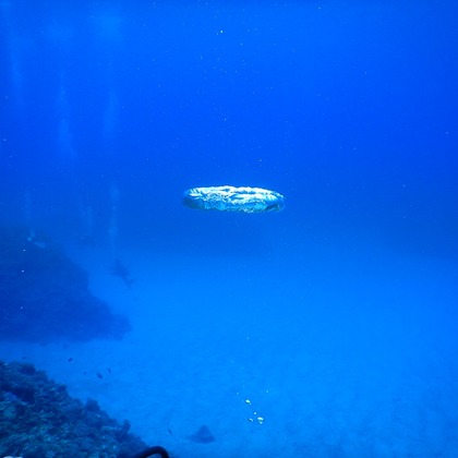 杉野優介が撮影した「:albumName」の写真