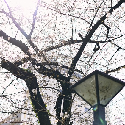 大橋裕紀が撮影したニューボーンフォト/家族写真の出張撮影の写真