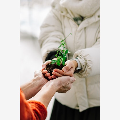 櫻井大祐・STUDIO CHOOPが撮影したウェディングや家族、ビジネスの写真