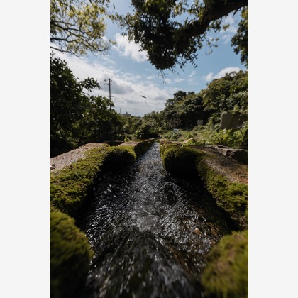 ポートレート沖縄が撮影した人物撮影の写真