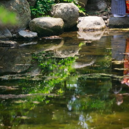 ピュアアーティス(小島 靖雄)が撮影した「:albumName」の写真