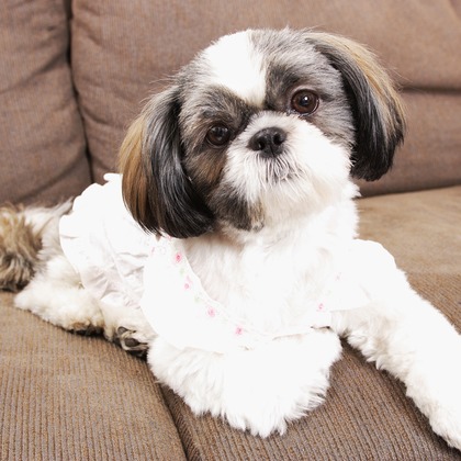 森安　照が撮影した「:albumName」の写真