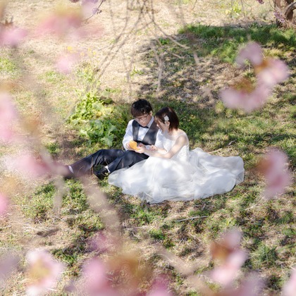 石田誠写真事務所が撮影した「:albumName」の写真