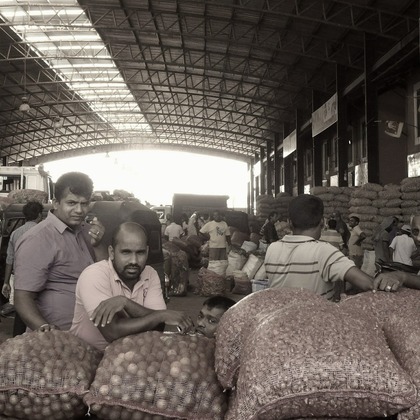 TAROU_HATANAKA が撮影したウェディングや家族、ビジネスの写真