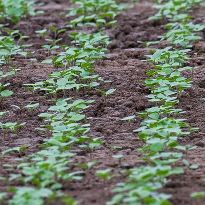 出張撮影TLaboが撮影した店舗/オフィス/サロン撮影/商品/物撮りの写真